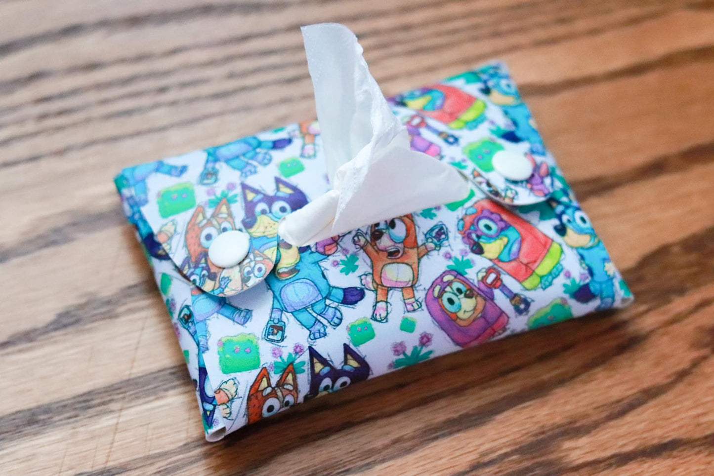 Pristine Tissue Holder Pattern