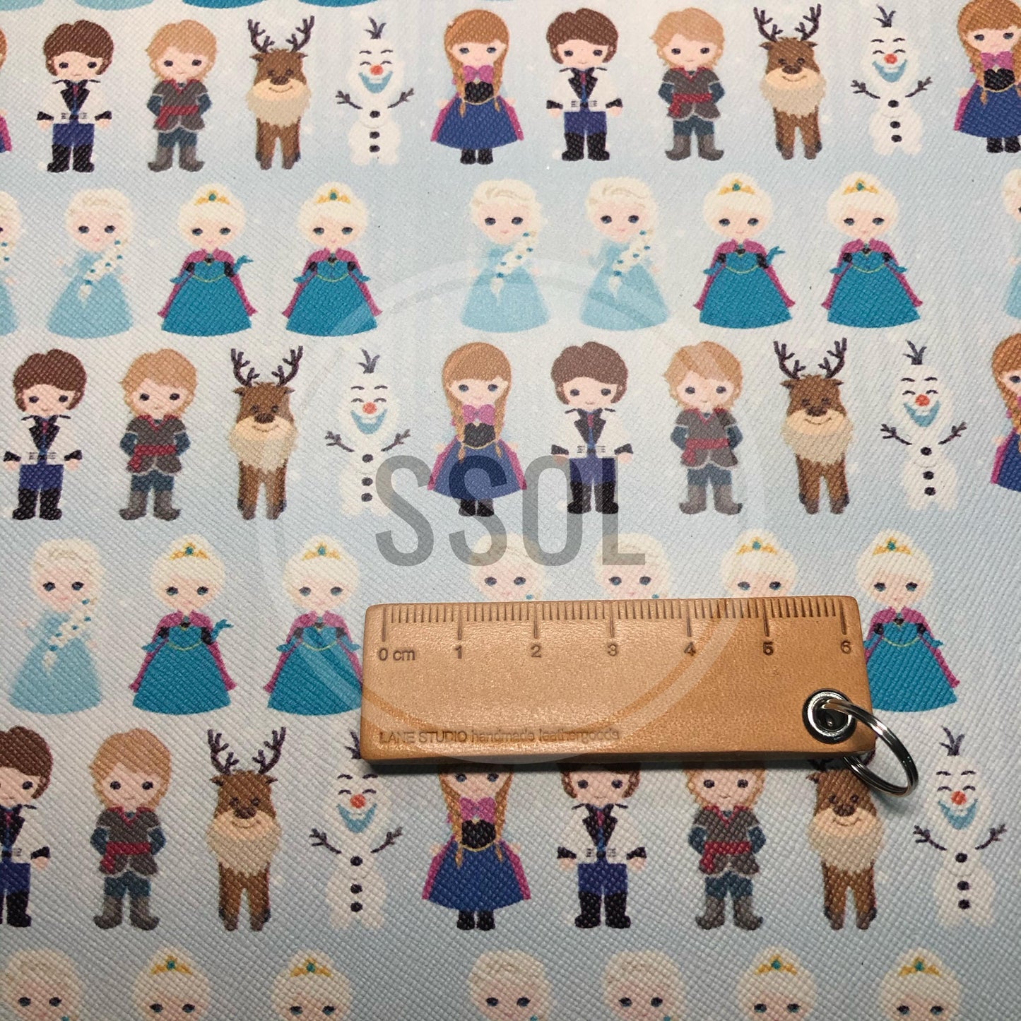 Vinyl/PU Leather - Frozen04