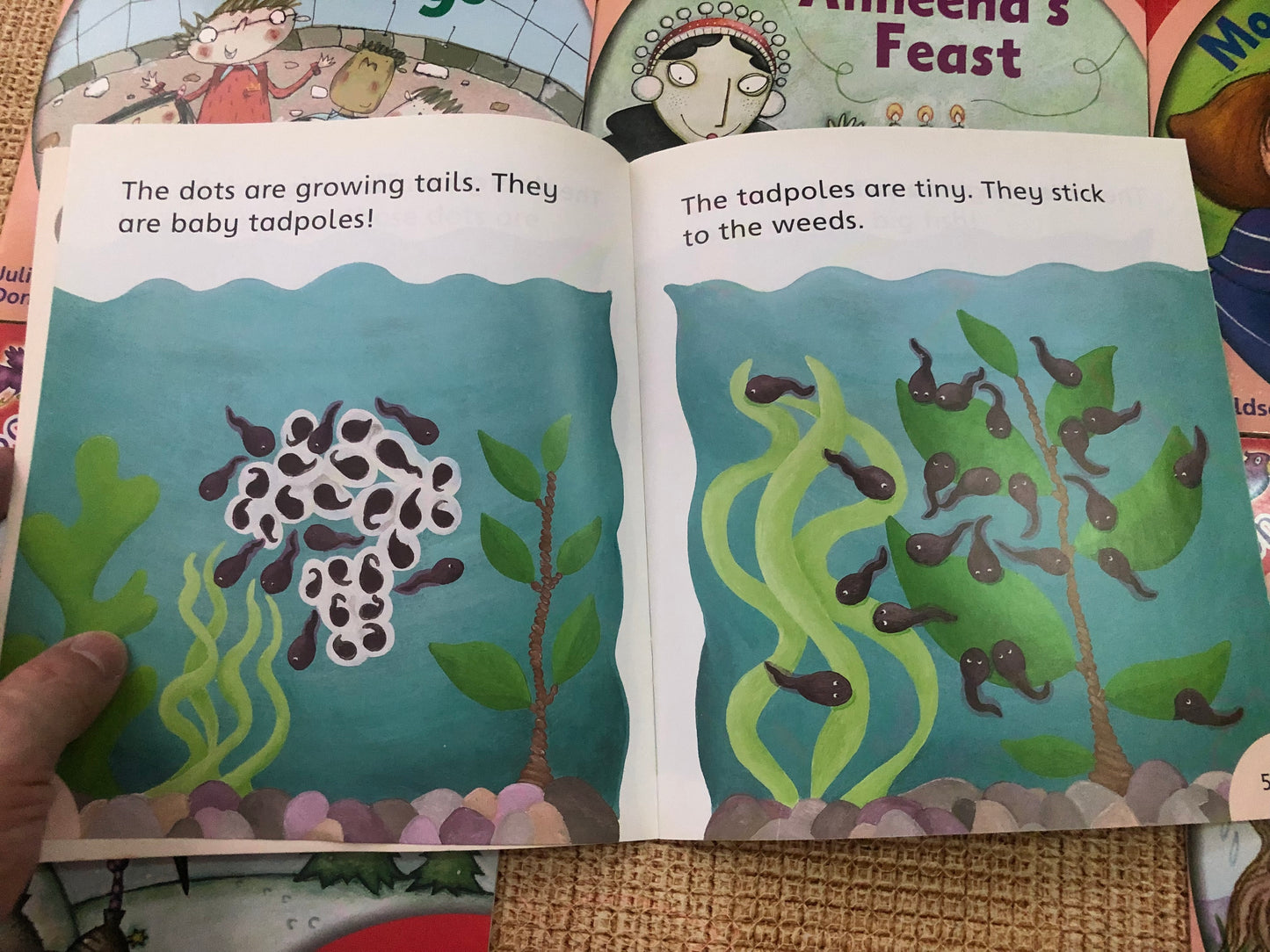 Songbird Phonics with Julia Donaldson - Stage 4