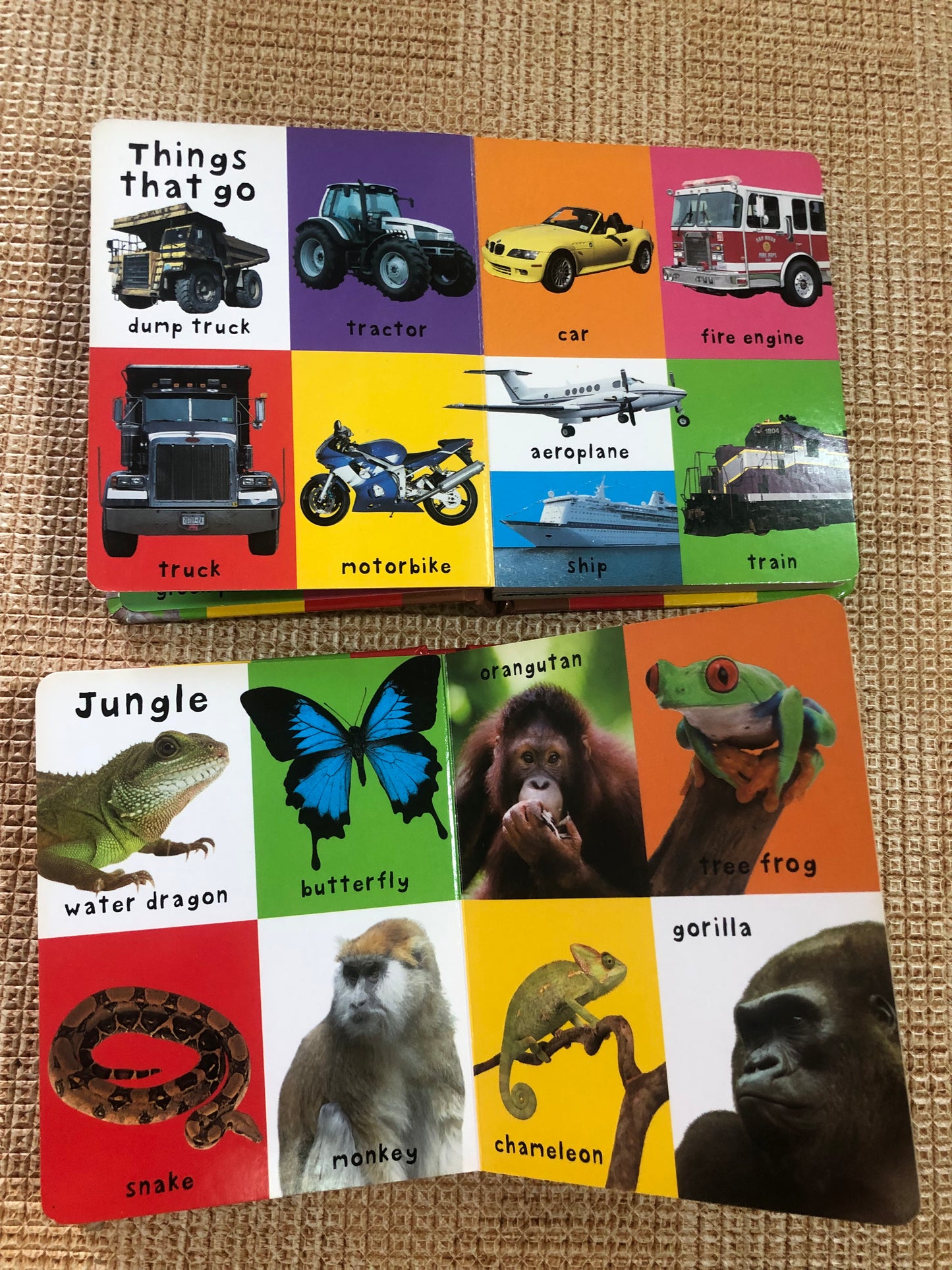 First 100 words / animals