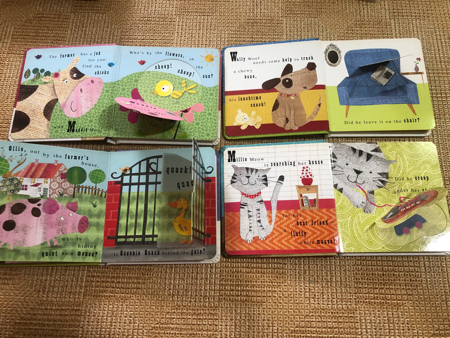 Animal Lift-The-Flap-Books