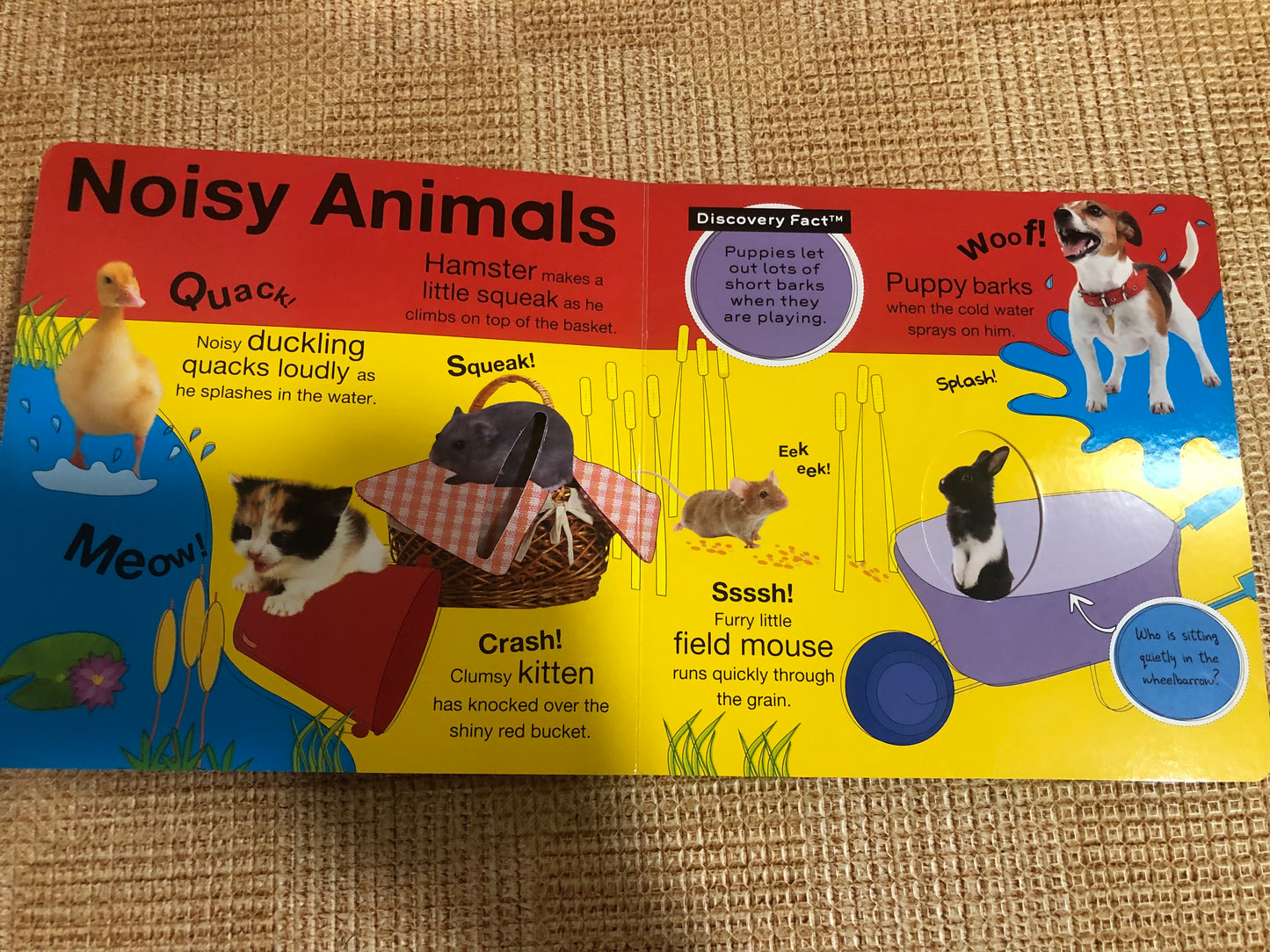 Discovery Kids - Baby Animals