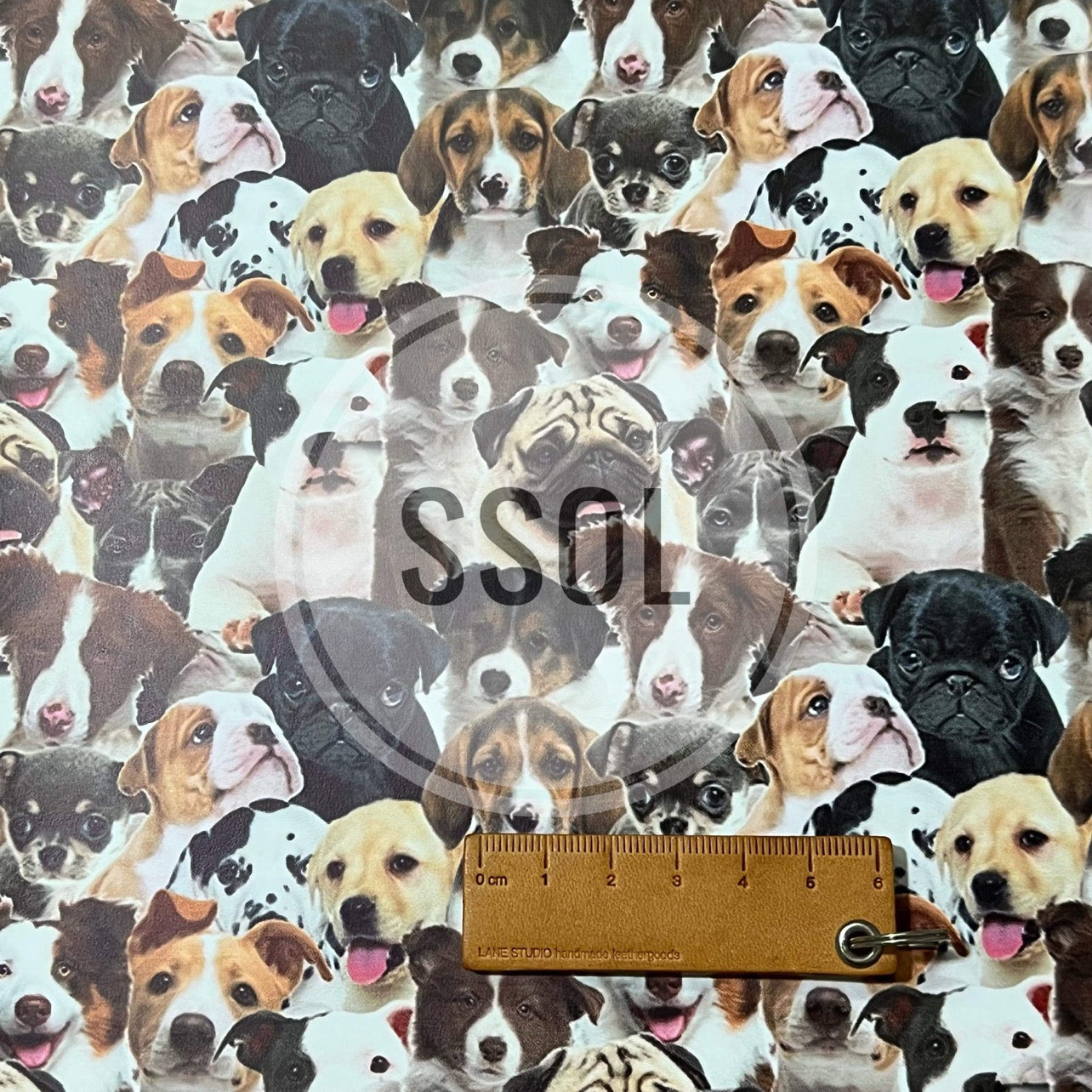 Vinyl/PU Leather - DOG04