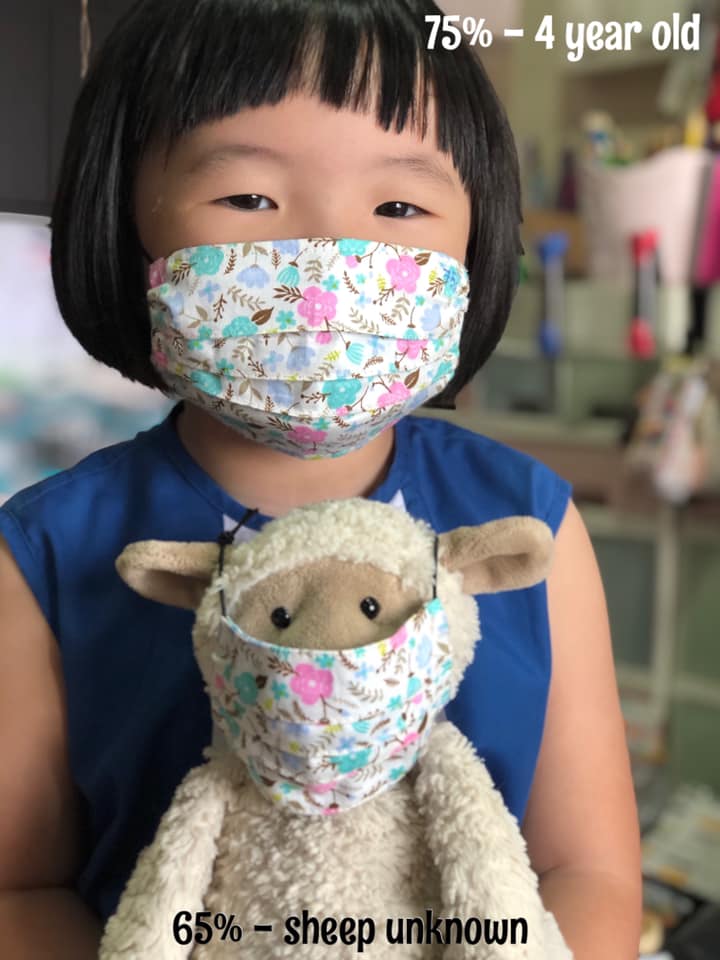 SSOL Pleated Mask/Mask Cover Pattern