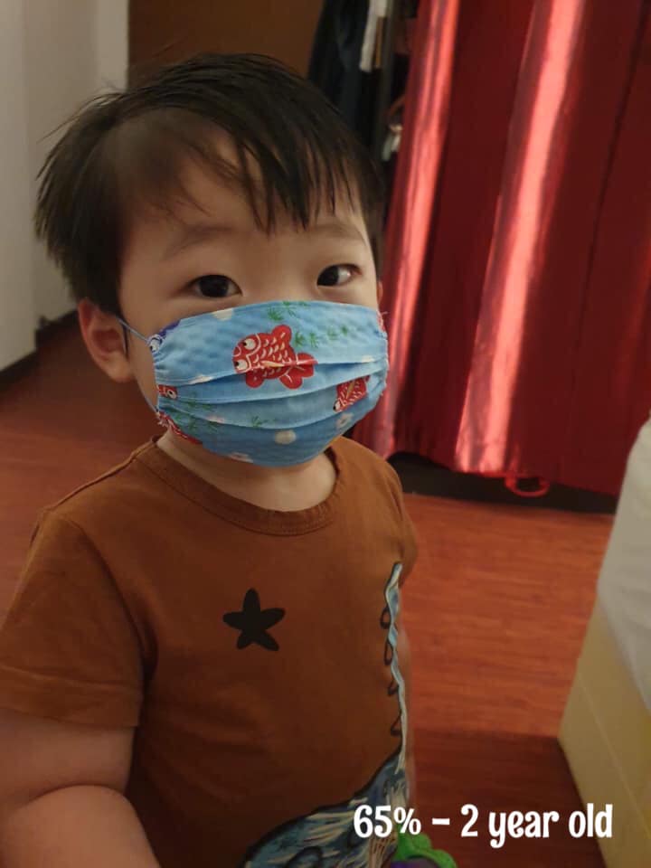 SSOL Pleated Mask/Mask Cover Pattern