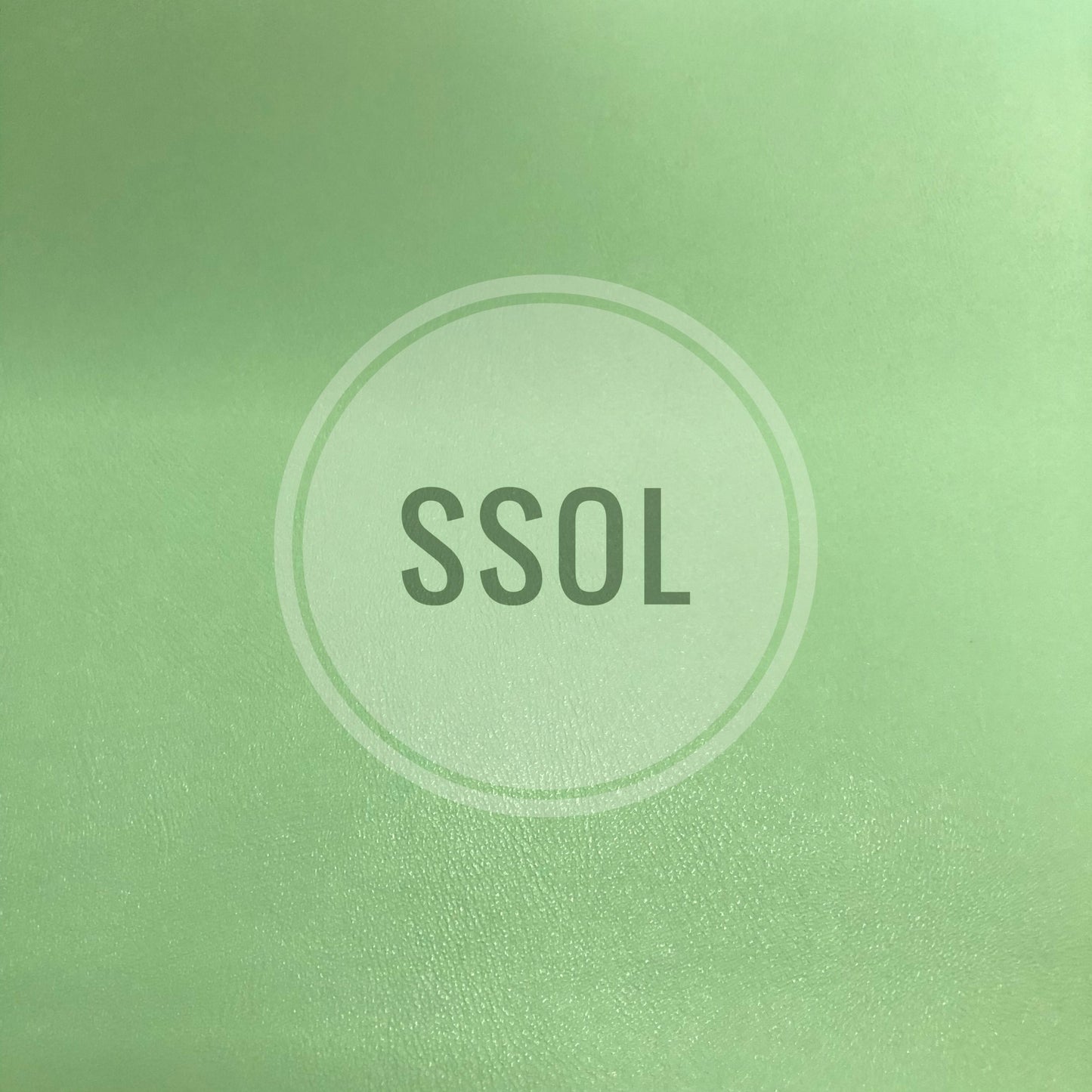 Vinyl/PU Leather - Smooth Solid 01 (Mint Green)