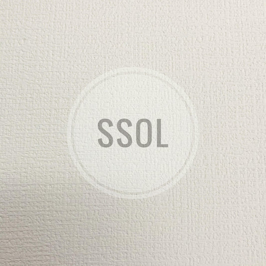 Vinyl/PU Leather - Special Texture (Solid Type II 01)