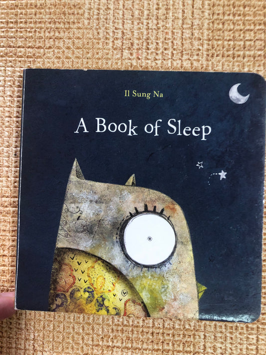 A Book of Sleep