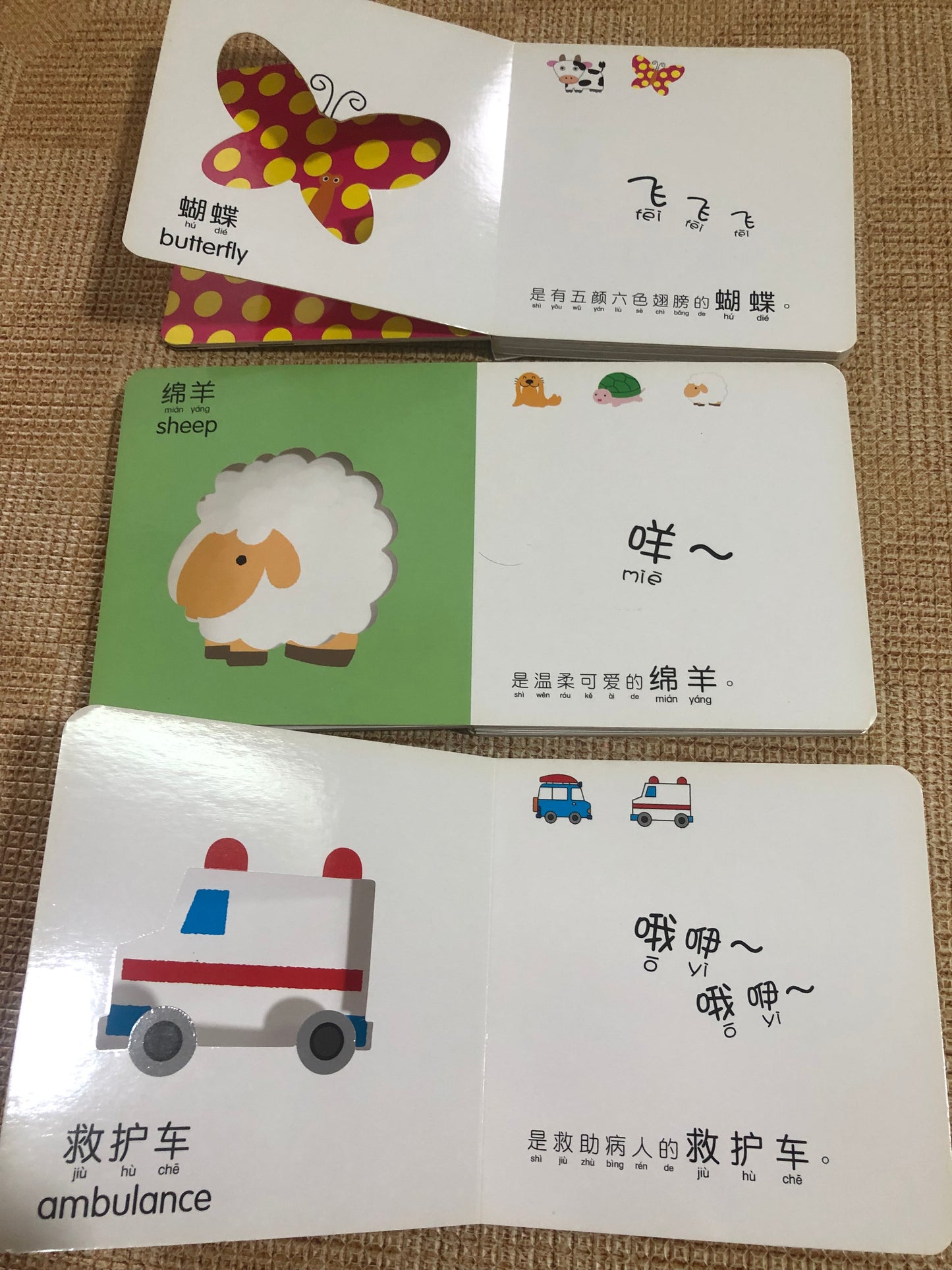 Baby Guess Chinese Books