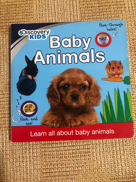 Discovery Kids - Baby Animals