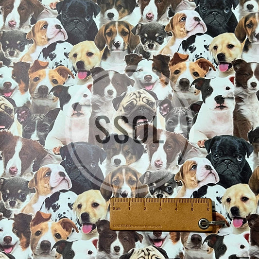 Vinyl/PU Leather - DOG04
