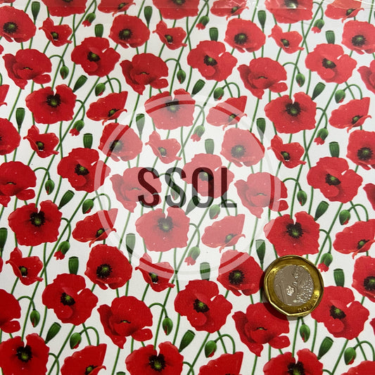 Vinyl/PU Leather - FL70