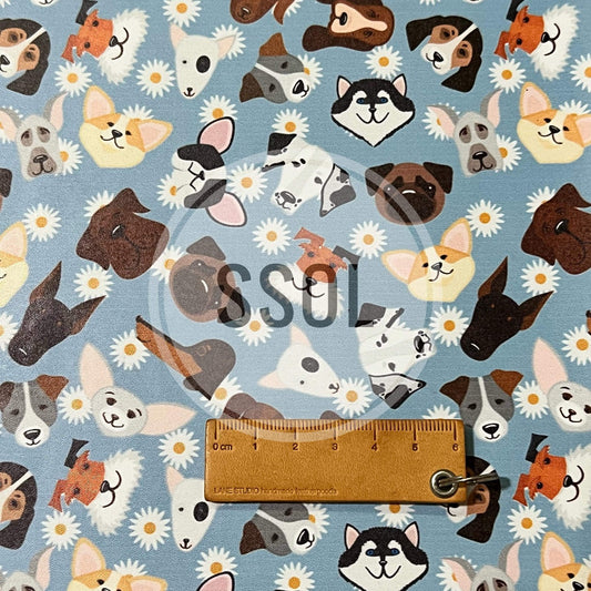 Vinyl/PU Leather - DOG06