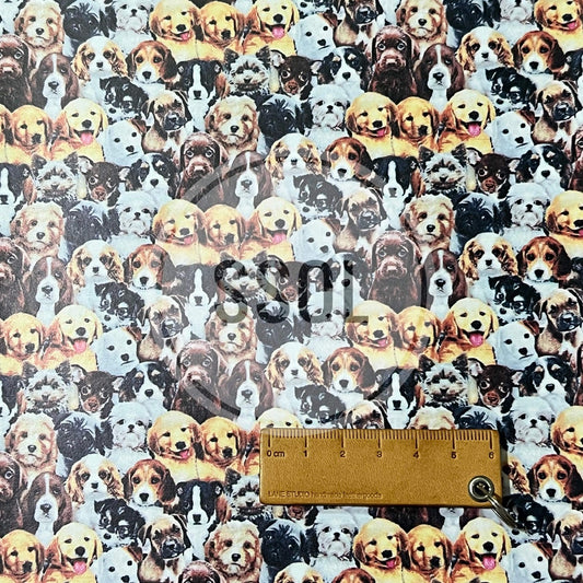 Vinyl/PU Leather - DOG08